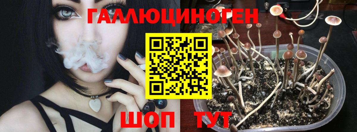 Галлюциногенные грибы GOLDEN TEACHER  Вход с VPN  Ковров 